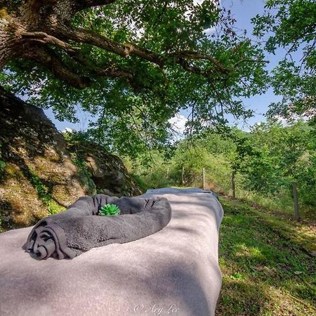 Gite Du Mont Plaisir Villa Chouvigny Ngoại thất bức ảnh