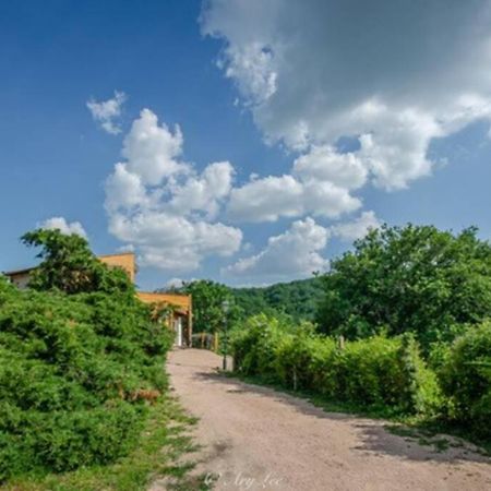 Gite Du Mont Plaisir Villa Chouvigny Ngoại thất bức ảnh