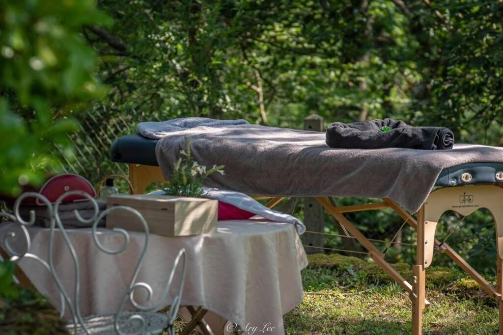 Gite Du Mont Plaisir Villa Chouvigny Ngoại thất bức ảnh